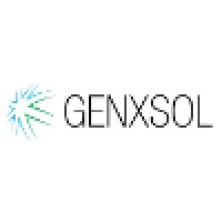 genXsol logo - Similar company to Nevysoft