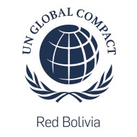 UN Global Compact Network Bolivia logo - Similar company to Toolkit Innovation