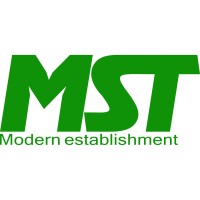 MST EGYPT logo - Similar company to Netxco