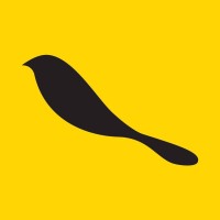Bird Creative Studio logo - Similar company to Grupo Proimagem