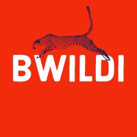 Bwildi logo - Similar company to 404 Code