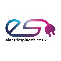 Electric Spinach logo - Similar company to Electric Intelligence Ltd