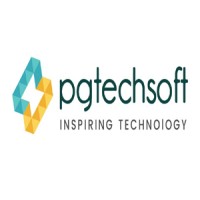 pgtechsoft logo - Similar company to Console Dude
