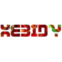 Xebidy Strategic Design