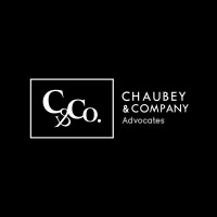 Chaubey & Company logo - Similar company to Delfyle Solutions Private Limited