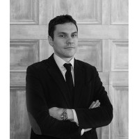 dott. Massimo Ianni logo - Similar company to Massimo & Partners