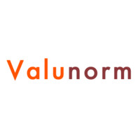 Valunorm logo - Similar company to Safety And Sustainability Management