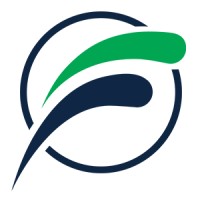 Flying Foil logo - Similar company to Marine Cybernetics
