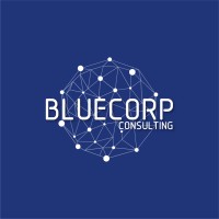 BLUECORP Consulting SA de CV logo - Similar company to Bluecorp®