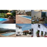 Starpropertiesspain logo - Similar company to Palm Springs Animal Shelter