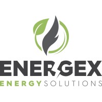 Energex energy logo - Similar company to Lg Microns