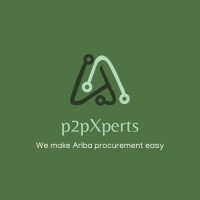 P2PExperts Private Limited logo - Similar company to 9 Particle