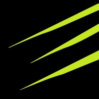 FATCAT MEDIA logo - Similar company to Rainy Sun