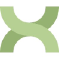 Optical X logo - Similar company to Twelve84® Eyewear