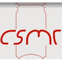 CHANG SHEN MACHINERY CO., LTD. logo - Similar company to Nikki