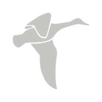 Weyergans High Care AG logo - Similar company to Distributed Logic Corp