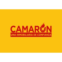 Camaron Inmobiliaria logo - Similar company to Inmobiliaria Ocean Sa