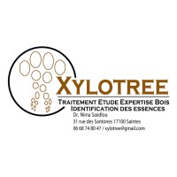 XYLOTREE - Traitement, Etude, Expertises bois logo - Similar company to Equation Bois