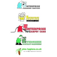 Enterprise Services Group Ltd logo - Similar company to Fast Clean