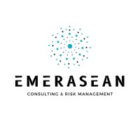 EMERASIA logo - Similar company to Trade International Development
