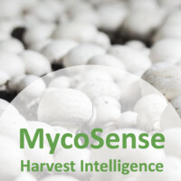 MycoSense AI logo - Similar company to Melilot Analytics Sa