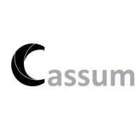 Cassum Web Development