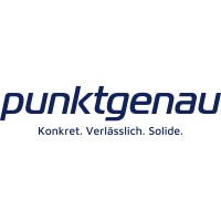 punktgenau Beratung GmbH logo - Similar company to P5.Express