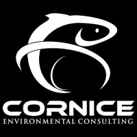 Cornice Environmental Consulting Ltd. logo - Similar company to Hydrologica Environmental Consulting Ltd.