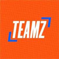 TEAMZ TENNIS logo - Similar company to Coll Brain Association