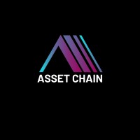 Asset chain logo - Similar company to Caspade