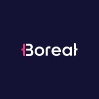 Boreal AI logo - Similar company to Trg Latam