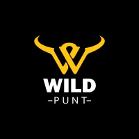 WildPunt logo - Similar company to Stag.Ai