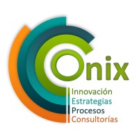 Consultora Onix