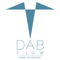 DabFlow logo - Similar company to Dab Flow Uae