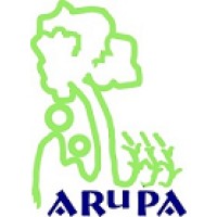 Arupa