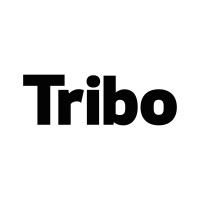 Tribo logo - Similar company to Boryszew Erg