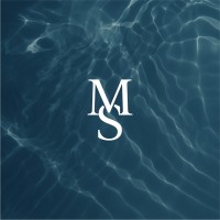 Marlin Search logo - Similar company to Elity Global