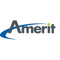 Amerit Consulting logo - Similar company to Suna Solutions