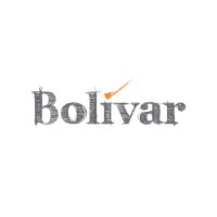 Inversiones Bolívar logo - Similar company to Bambu