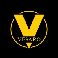 Vesaro logo - Similar company to D-Box Technologies