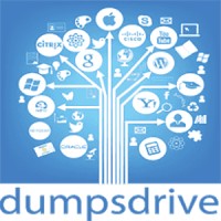 Dumpsdrive logo - Similar company to E-Cell Slrtce