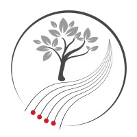 Prosperity Stream logo - Similar company to Bellan Media (Pty) Ltd