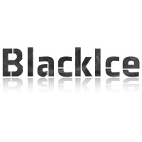 Black Ice LLC logo - Similar company to Rubics Solutions