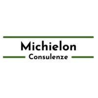 Michielon Consulenze Srls logo - Similar company to Hivehub
