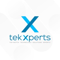 TekXperts logo - Similar company to Mindfulai Systems