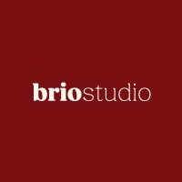 Brio Studio TR logo - Similar company to Bubu Agency