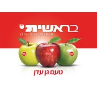 Beresheet logo - Similar company to Nesya