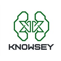 Knowsey Technology Partners logo - Similar company to Ariana Naturals