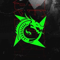 Salt Esports logo - Similar company to Koxav Tribe