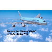 Korean Air Change Flight logo - Similar company to Kapal - Ca